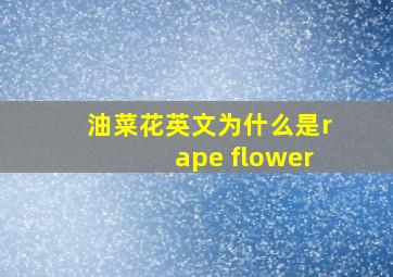 油菜花英文为什么是rape flower